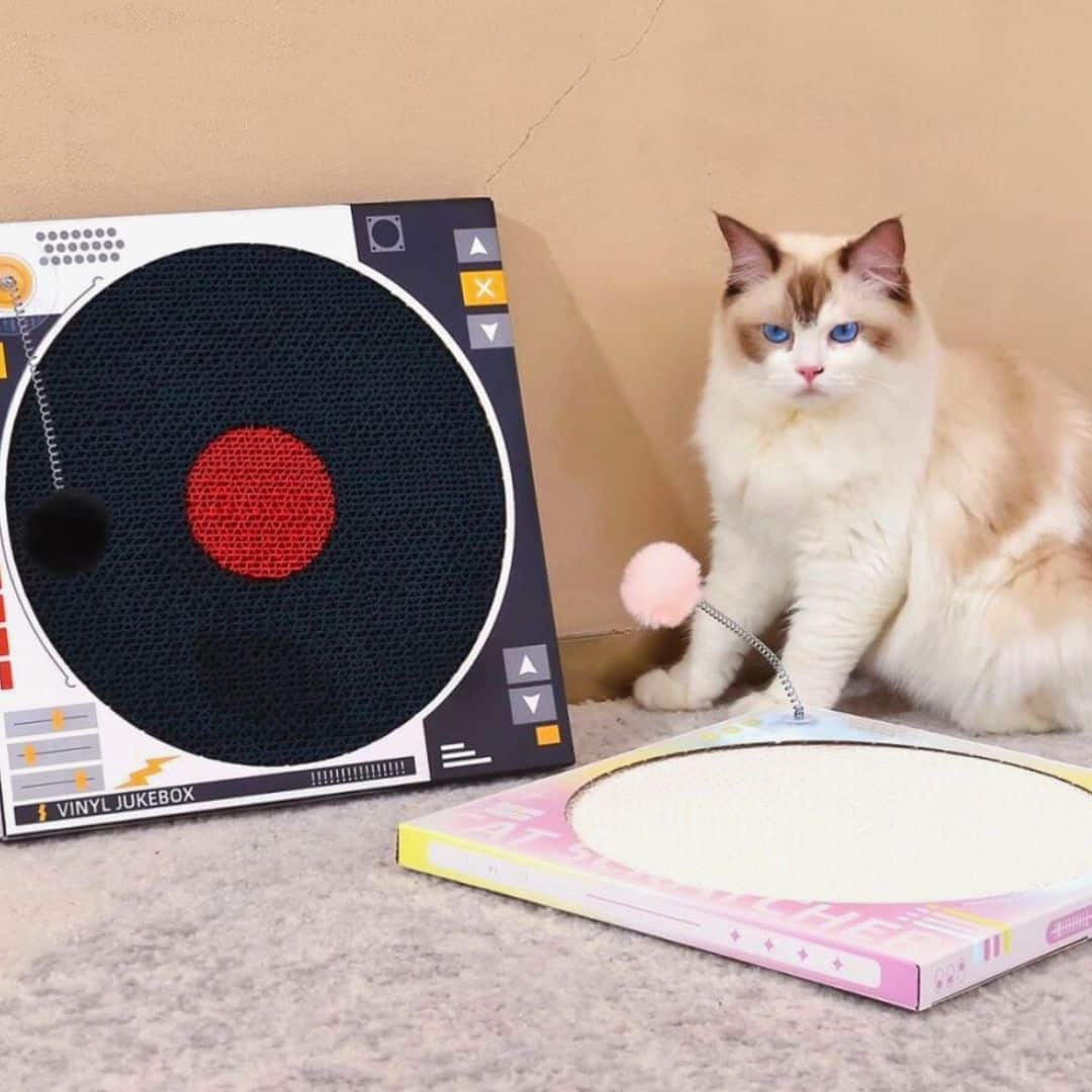 Retro Vinyl Record Felt Cat Scratcher Main image