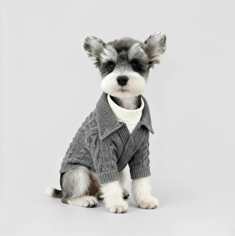 Cozy Cable-Knit Pet Sweater Main image